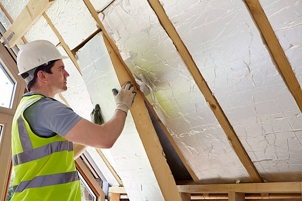 Best Insulation for New Construction  in Hildale, UT