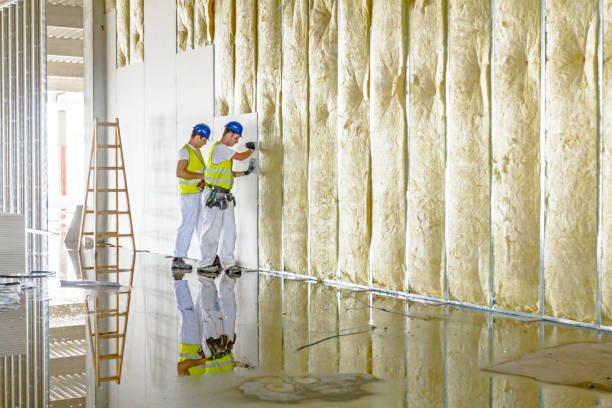 Best Residential Insulation Services  in Hildale, UT